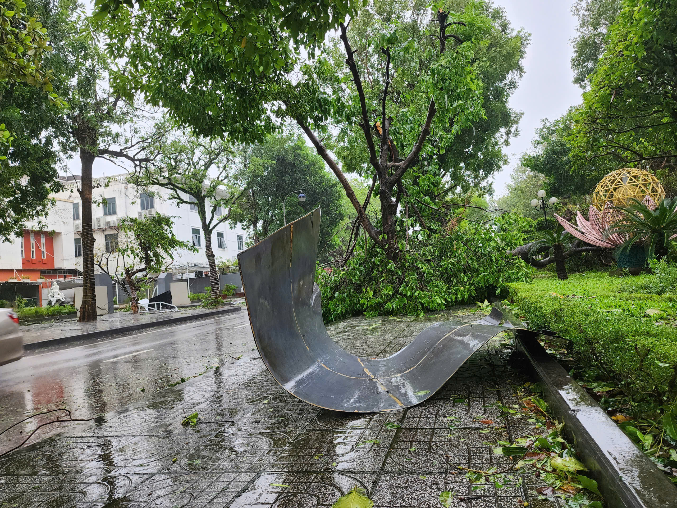 Cơn Bão Số 2: Những Đặc Điểm Dị Thường Đáng Chú Ý