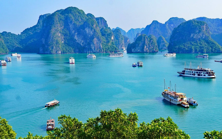 Bảo vệ Môi Trường Biển Nha Trang: Những Quy Định Quan Trọng Cần Biết
