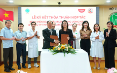 Những Thực Phẩm Giúp Ngăn Ngừa Tóc Rụng và Tóc Bạc Sau Tuổi 50