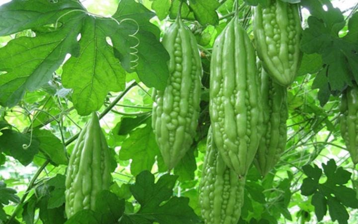 7 thói quen buổi sáng giúp kiểm soát đường huyết tốt hơn - Ảnh 2.