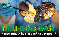 Khám Phá Về Nấm Ăn Mòn Xương: Một Câu Chuyện Cảnh Tỉnh