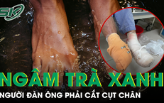Huấn Hoa Hồng Bị Khởi Tố: Hành Trình Từ Tự Do Đến Giam Giữ