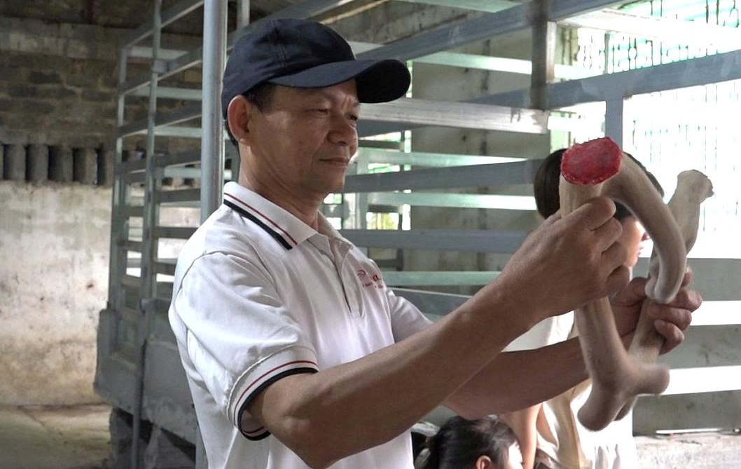 Chàng kỹ sư đam mê thuần hóa loài động vật hoang dã có nhung- Ảnh 5.