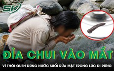 Hướng Dẫn Cúng Cô Hồn Tháng 7 Âm Lịch 2026: Văn Khấn Đúng Truyền Thống