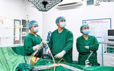 Hà Tĩnh Đối Phó Hiệu Quả Với Tình Hình Sốt Xuất Huyết Tăng Cao