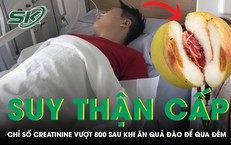 Sự Cố Nguy Hiểm: Những Hậu Quả Khó Lường Từ Vết Đốt Của Ong Vò Vẽ