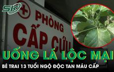 Khám Phá Những Kỹ Thuật Tầm Soát Bệnh Tim Mạch Để Ngăn Ngừa Biến Chứng