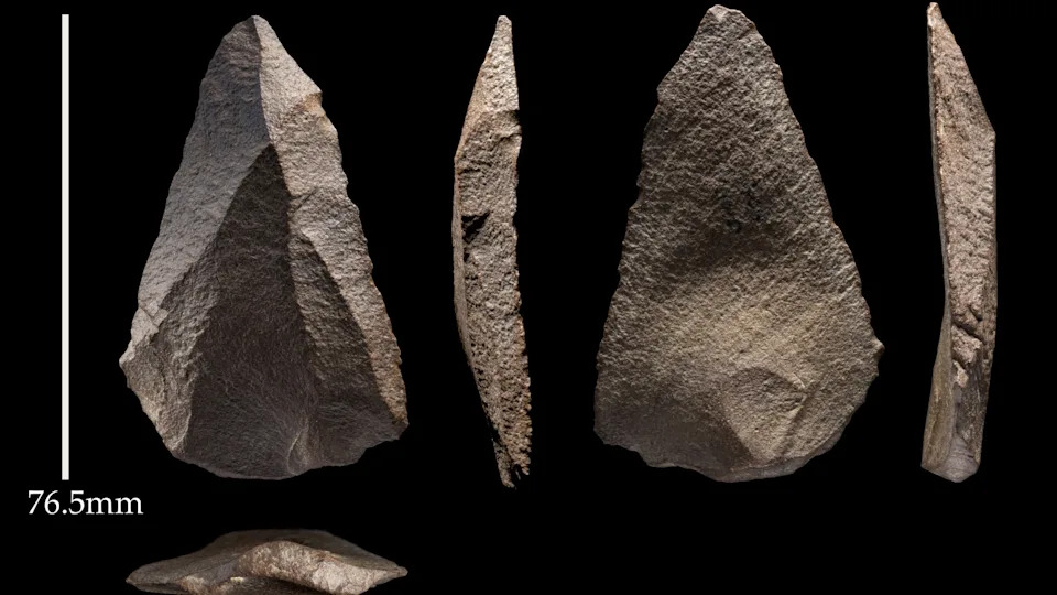 Khám Phá Công Cụ Đá 55.000 Năm Tuổi và Di Cư Của Người Neanderthal