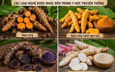 Khám Phá Những Lợi Ích Sức Khỏe Từ Việc Đi Bộ 2 Km Hàng Ngày