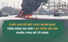 Những Lợi Ích Tuyệt Vời Của Lá Thảo Dược Trong Việc Bảo Vệ Tim Mạch
