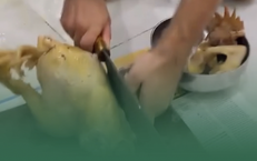 Khám Phá Thời Điểm Vàng Để Giúp Gan Khỏe Mạnh Hơn