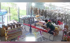 Nguy Cơ và Những Hy Vọng Trong Điều Trị Ung Thư Máu