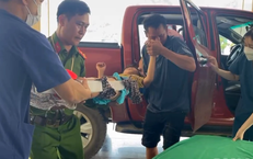 Bí Thư Trung Ương Đoàn: Đấu Tranh Chống Lại Những Thay Đổi Dị Biến Trong Nghi Thức Đội