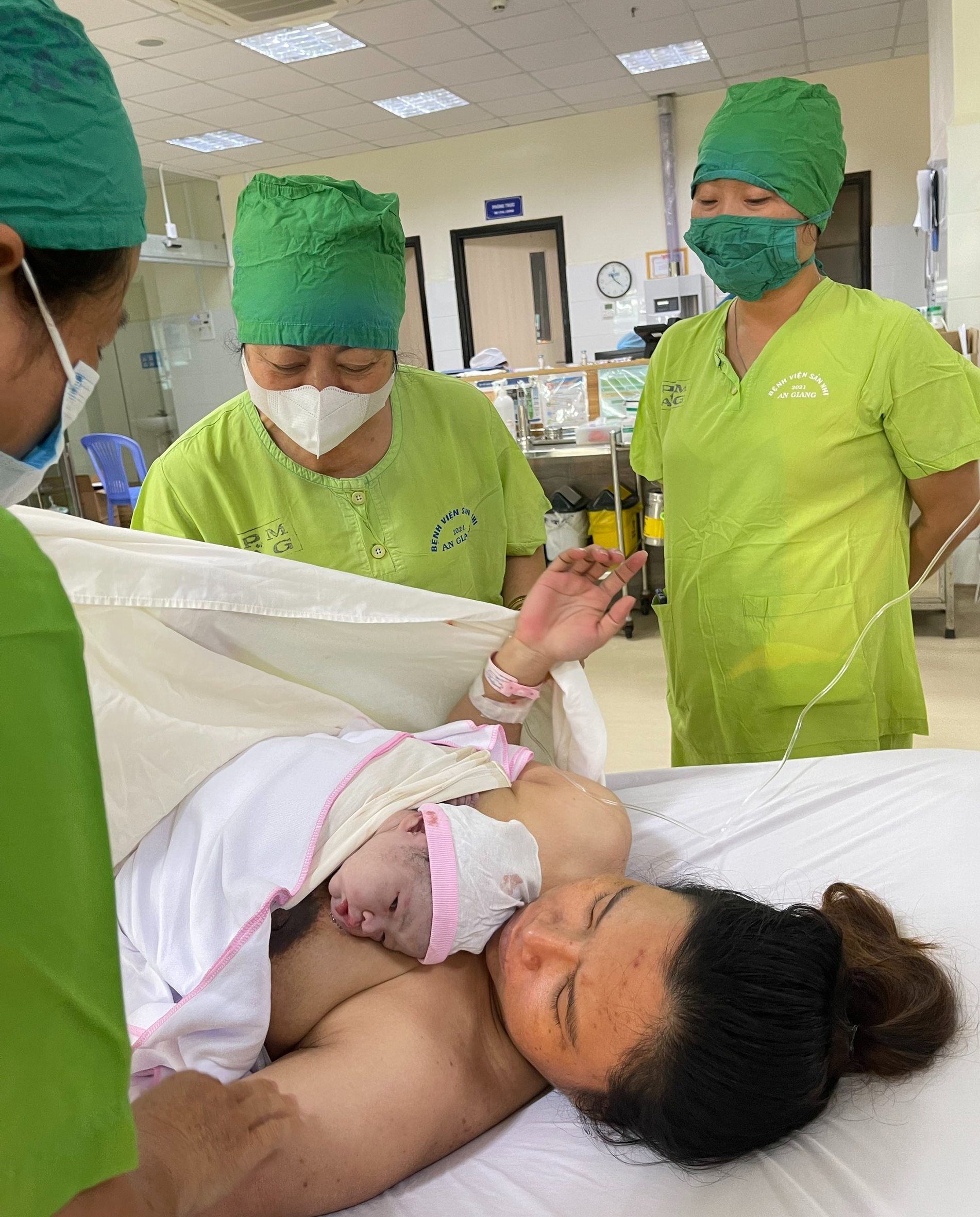 Chân Giò Hầm Đu Đủ: Đâu Là Sự Thật Về Hiệu Quả Lợi Sữa?