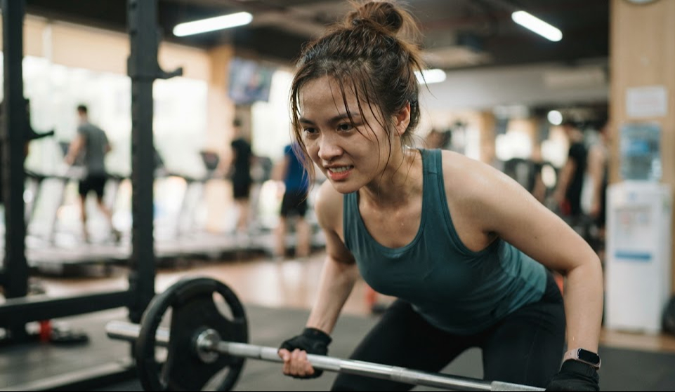 Tập tạ đóng vai trò quan trọng trong việc tăng khối lượng cơ.