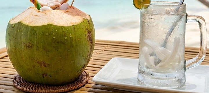 Sốt Xuất Huyết: Nên Uống Nước Dừa Hay Không?