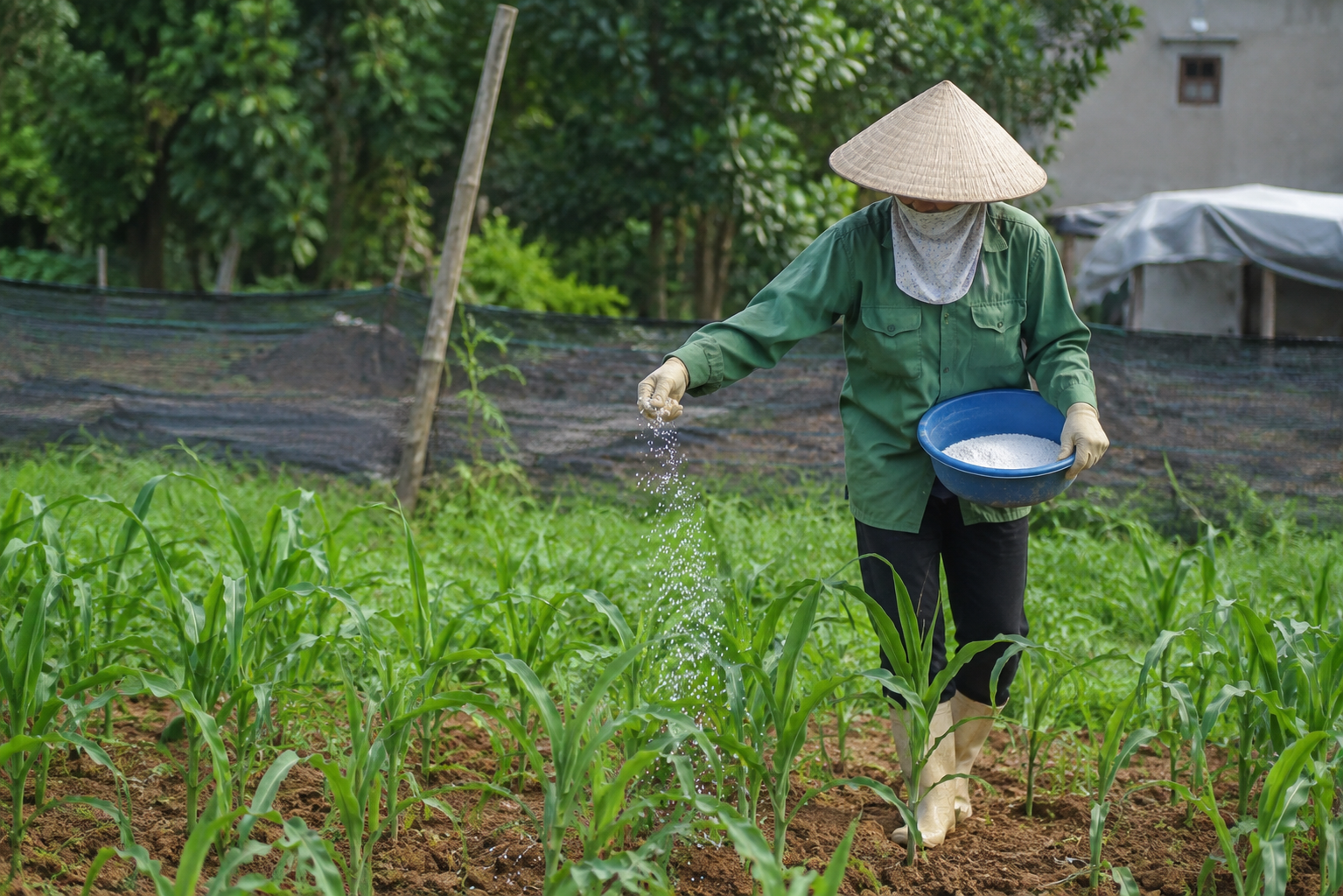 Hóa chất trong làm việc