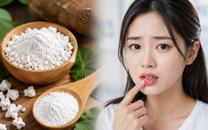 Quyết Định Bổ Nhiệm Mới Tại Học Viện Y – Dược Học Cổ Truyền Việt Nam