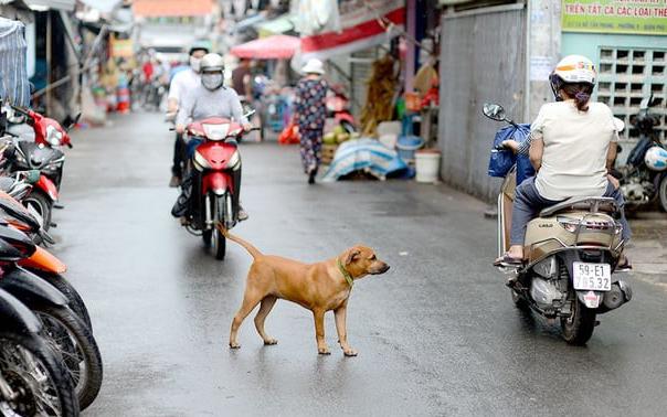 Thay Đổi Lớn Trong Quyền Xử Phạt Đất Đai Tại Cấp Xã