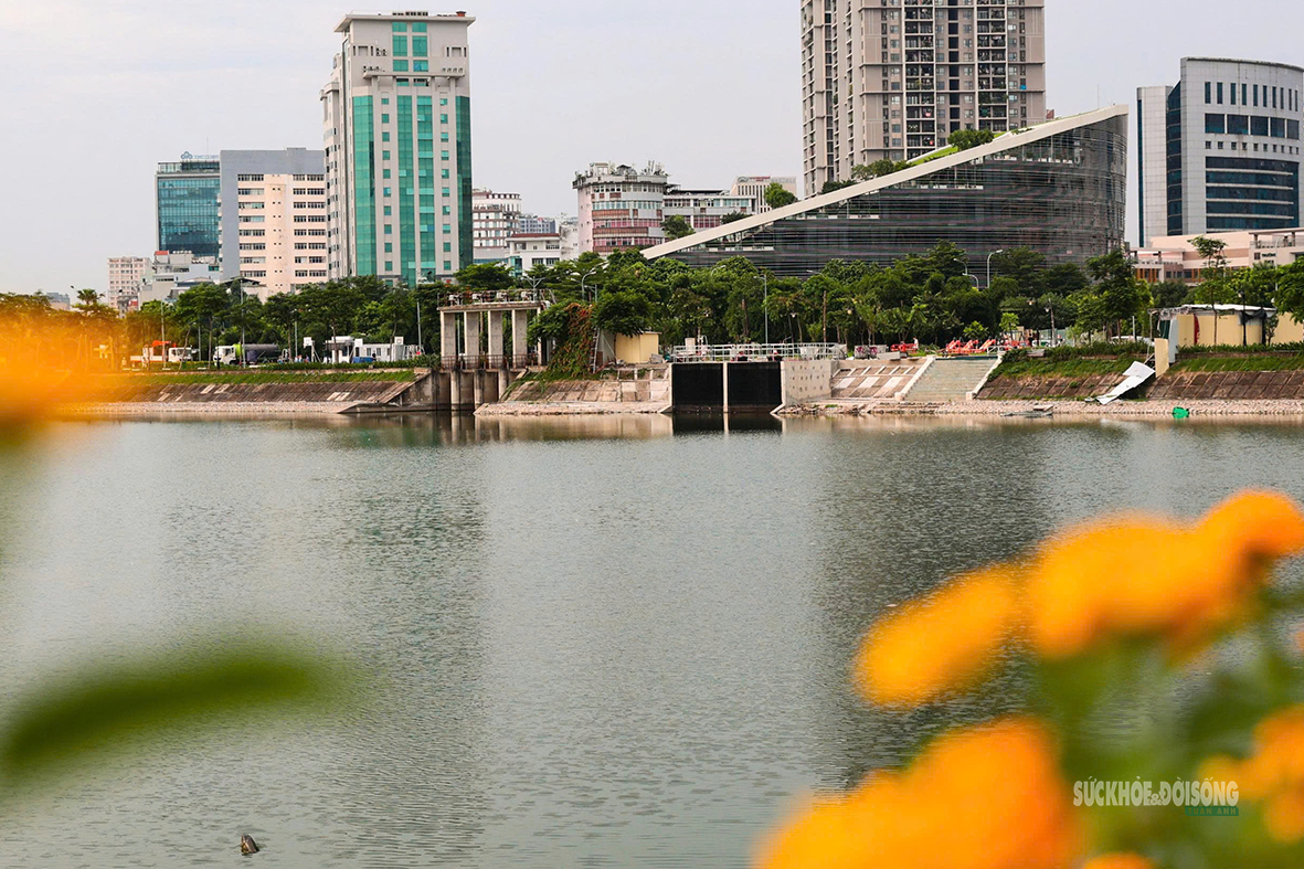 Sự Thay Đổi Của Công Viên An Hòa: Điểm Đến Lý Tưởng Cho Sức Khỏe