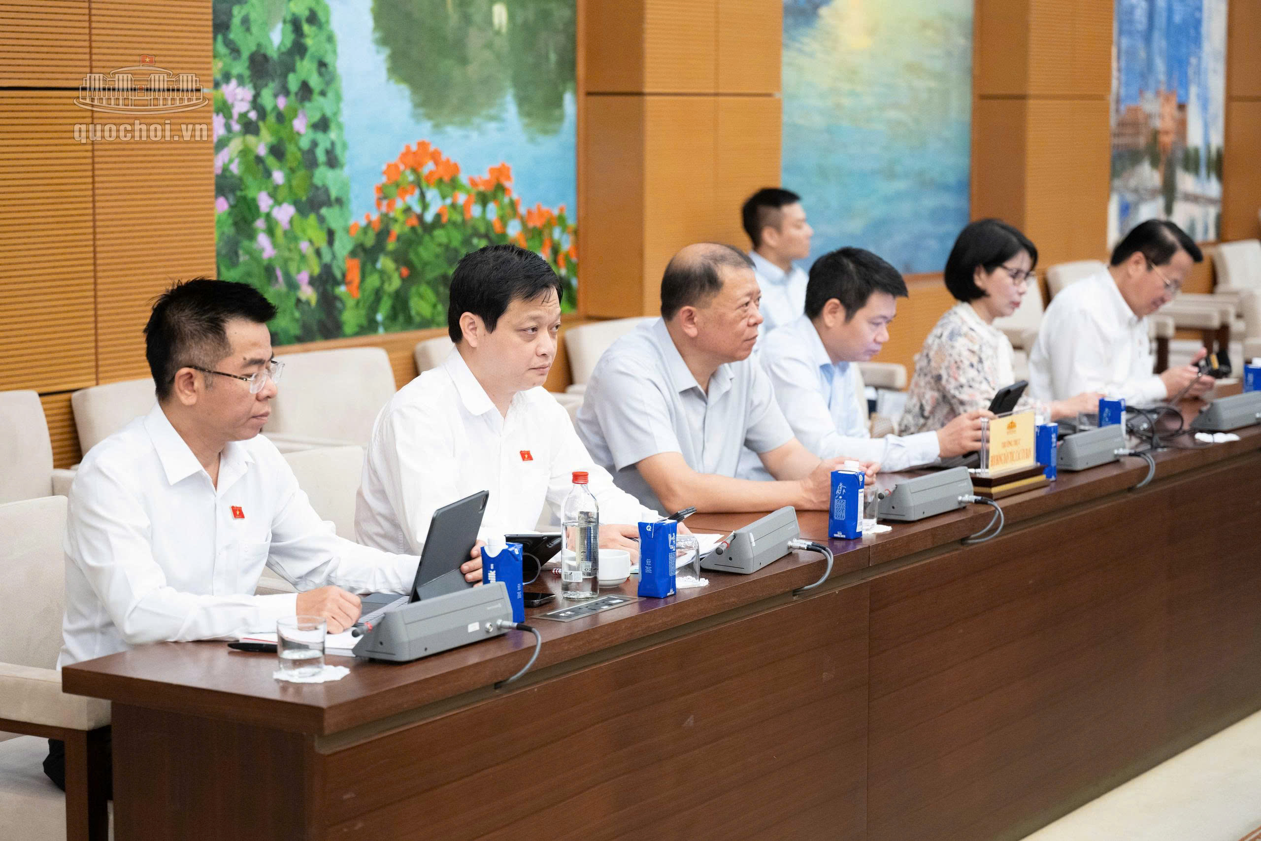 dai-bieu-17879068917751977291633 Cử tri lo ngại thời tiết cực đoan, ATTP và thủ đoạn trục lợi trên mạng - Ảnh 3.