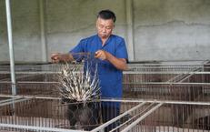 Nghệ An Tích Cực Ứng Phó Hậu Quả Mưa Lũ Để Bảo Vệ Cộng Đồng