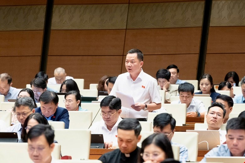 Đề Xuất Bổ Sung Kinh Doanh Kim Cương Vào Quy Định Đầu Tư Kinh Doanh Có Điều Kiện