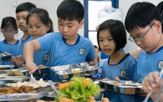 Giấc Ngủ Trong Độ Tuổi Vàng: Hướng Dẫn Duy Trì Sức Khỏe Sau 60