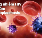 Khám Phá Mối Liên Hệ Giữa Virus Lây Truyền Qua Đường Tình Dục Và Ung Thư