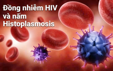 Khám Phá Mối Liên Hệ Giữa Virus Lây Truyền Qua Đường Tình Dục Và Ung Thư