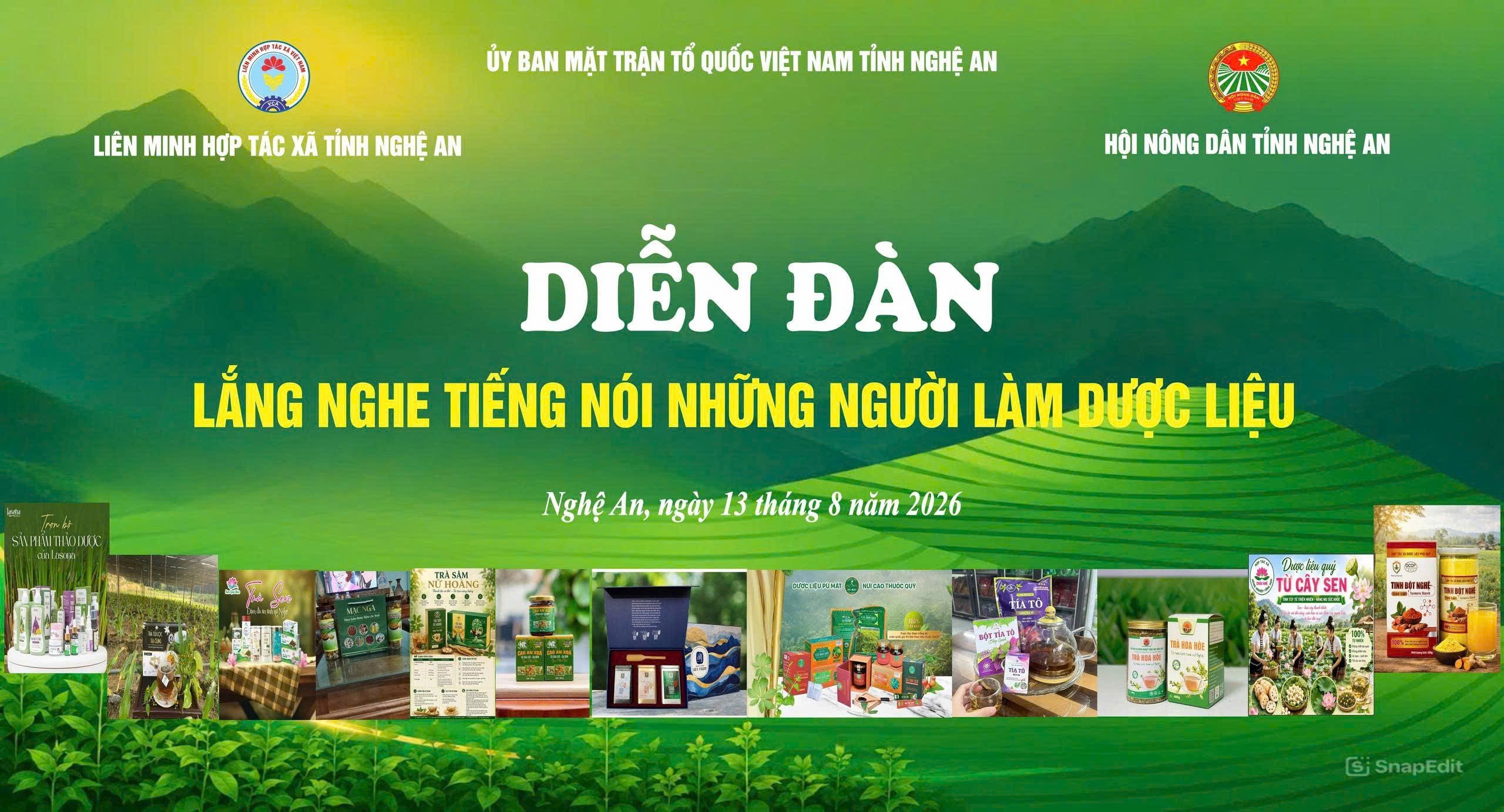 Nghệ An: Hành Trình Phát Triển Ngành Dược Liệu Bền Vững - Ảnh 1.