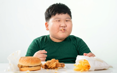 Giải Pháp Từ Nấm Linh Chi Để Tăng Cường Sức Khỏe Toàn Diện
