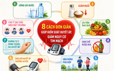 Khám Phá 4 Món Ăn Dồi Dào Kali Tốt Cho Tim Mạch Và Hệ Thần Kinh