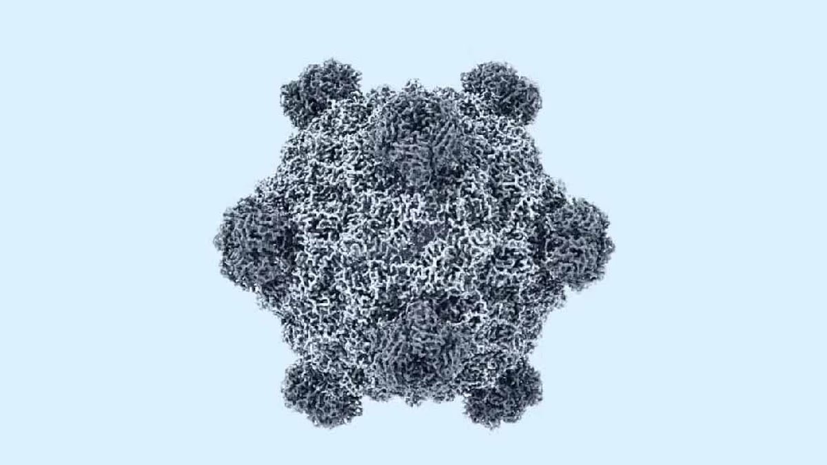 hpejed8weaa1sg-1786076331629726774146 Mỹ tạo 16 loại virus chưa từng có ngoài tự nhiên bằng AI- Ảnh 1.