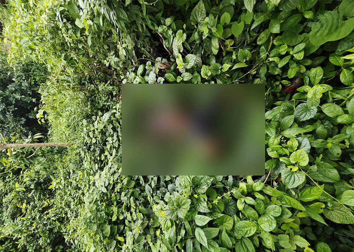 Khám Nghiem Hiện Trường Vụ Án