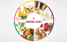 Khám Phá Những Thực Phẩm Giàu Magie Bảo Vệ Tim Mạch Hiệu Quả