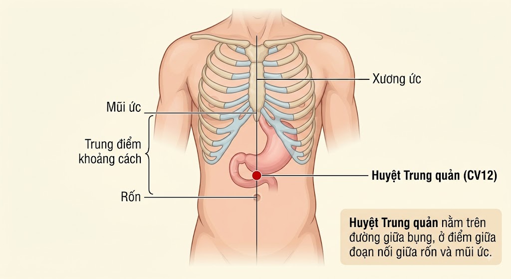Cách Xoa Bóp Bấm Huyệt Giúp Cải Thiện Tình Trạng Dạ Dày