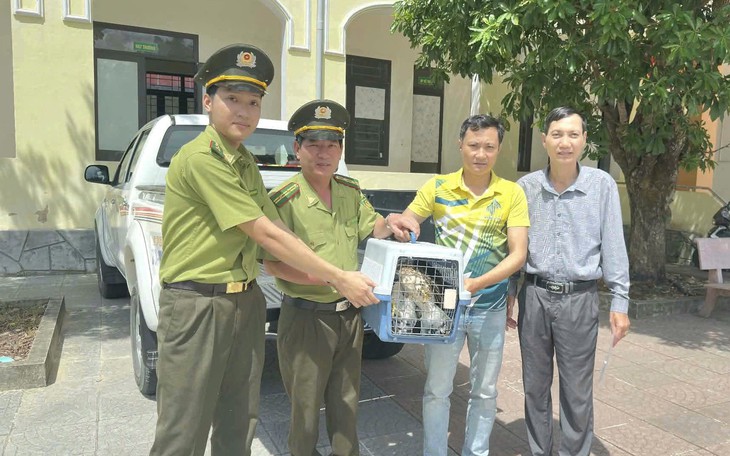 Các loài chim mới được ghi nhận ở VQG Phong Nha - Kẻ Bàng- Ảnh 4.