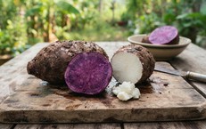 Hệ Tiêu Hóa: Chìa Khóa Để Trẻ Phát Triển Tốt Nhất