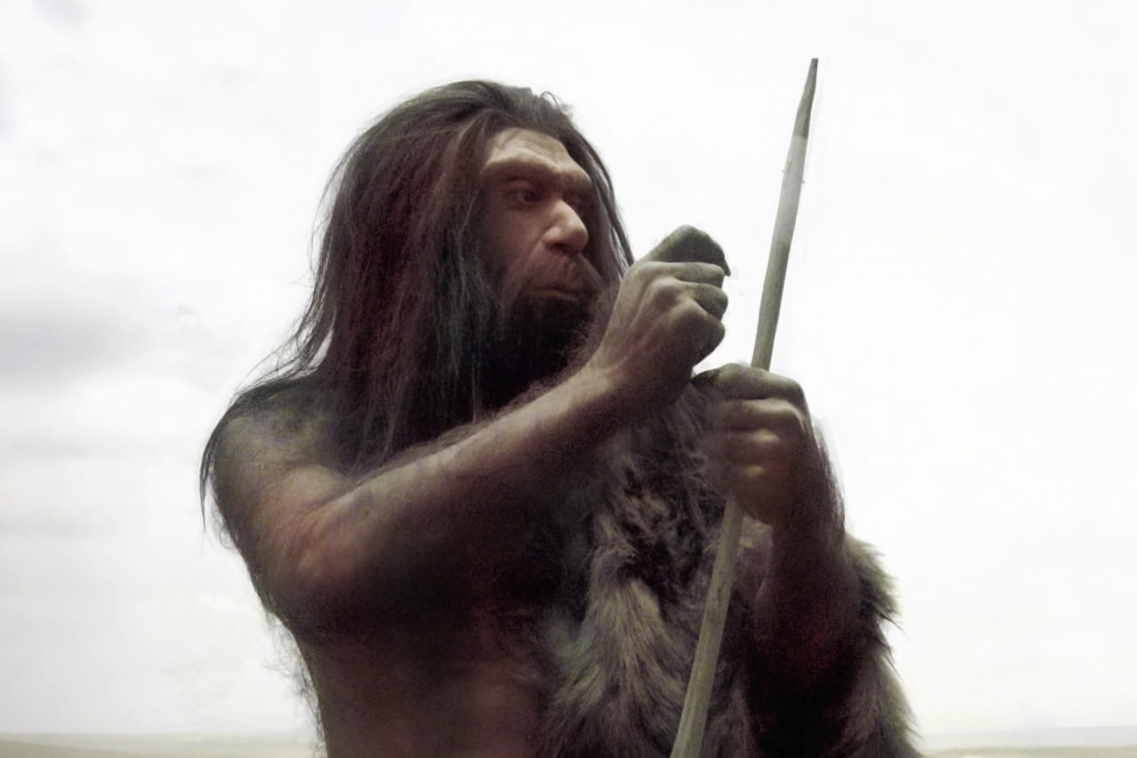 neanderthal5830-17873991535781194948514 Công cụ đá 55.000 tuổi có thể viết lại lịch sử di cư của loài người - Ảnh 1.