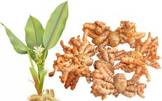 10 Biện Pháp Từ Không Gian Sống Để Giảm Nguy Cơ Bệnh Mạn Tính