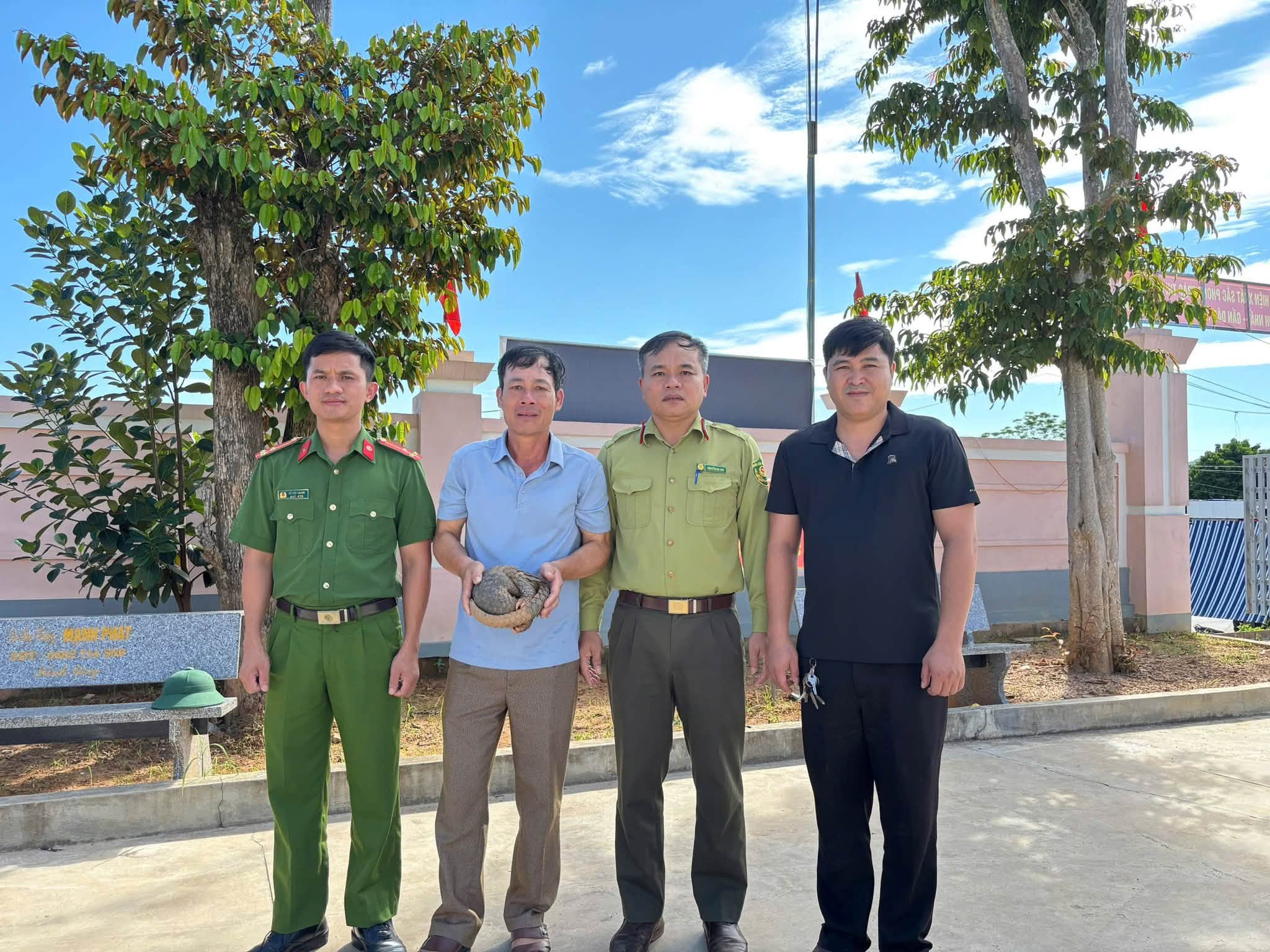 Người Dân Tích Cực Bảo Vệ Động Vật Hoang Dã: Giao Nộp Tê Tê Java Quý Hiếm