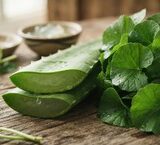 Chế Độ Ăn Uống Hỗ Trợ Collagen cho Người Trên 50 Tuổi