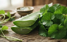 Chế Độ Ăn Uống Hỗ Trợ Collagen cho Người Trên 50 Tuổi