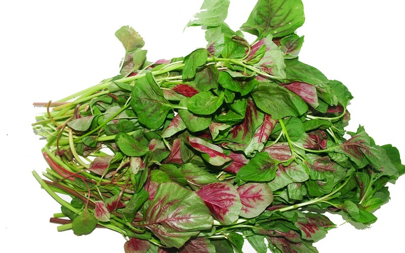 Cảm xúc ở tuổi trung niên - Ảnh 3.