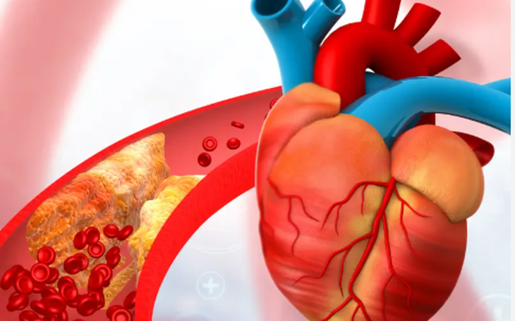 Sức mạnh cơ bắp và tim mạch