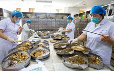 Bảo Hiểm Y Tế: Gánh Nặng Tài Chính Được Chia Sẻ Nhờ Chính Sách Hợp Lý