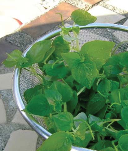 6 món ăn dưỡng sinh từ rau càng cua - Ảnh 4.