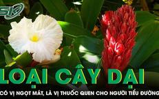 Câu Chuyện Cảnh Giác Về Thịt Thường Dùng Đang Tiềm Ẩn Nguy Cơ