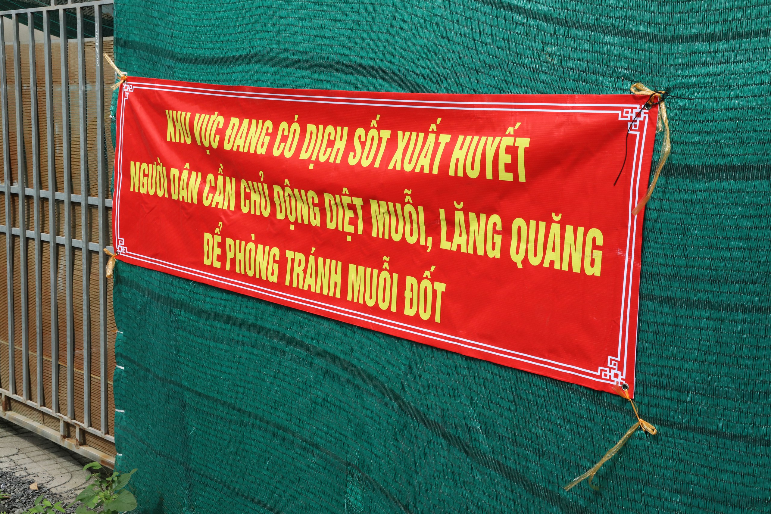 tcm-1-17859351370261975414762 TPHCM cảnh báo dịch chồng dịch vào mùa mưa - Ảnh 1.